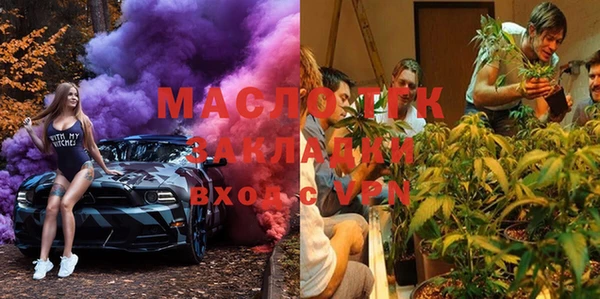 шишки Ельня