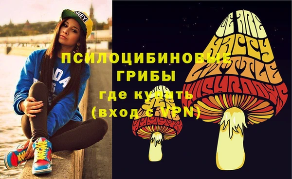 мяу мяу мука Алзамай