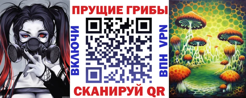 наркошоп Новомосковск Галлюциногенные грибы Magic Shrooms