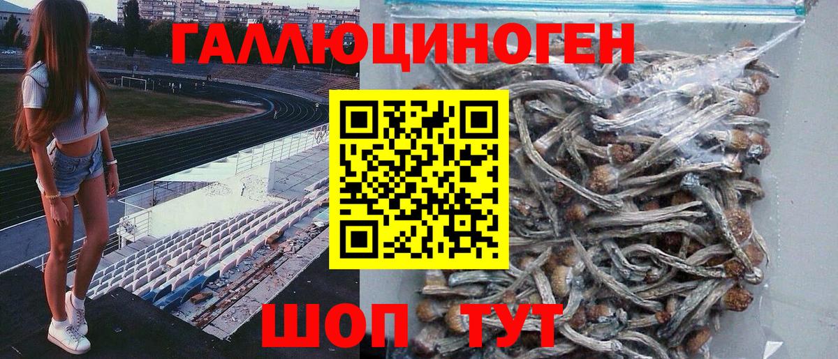 Галлюциногенные грибы прущие грибы Новомосковск